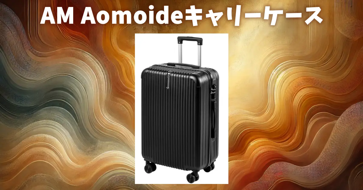 am-aomoide-carry-case-review